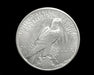 HS&C: 1921   Peace Dollar XF  Coin